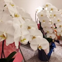 移転のお知らせ